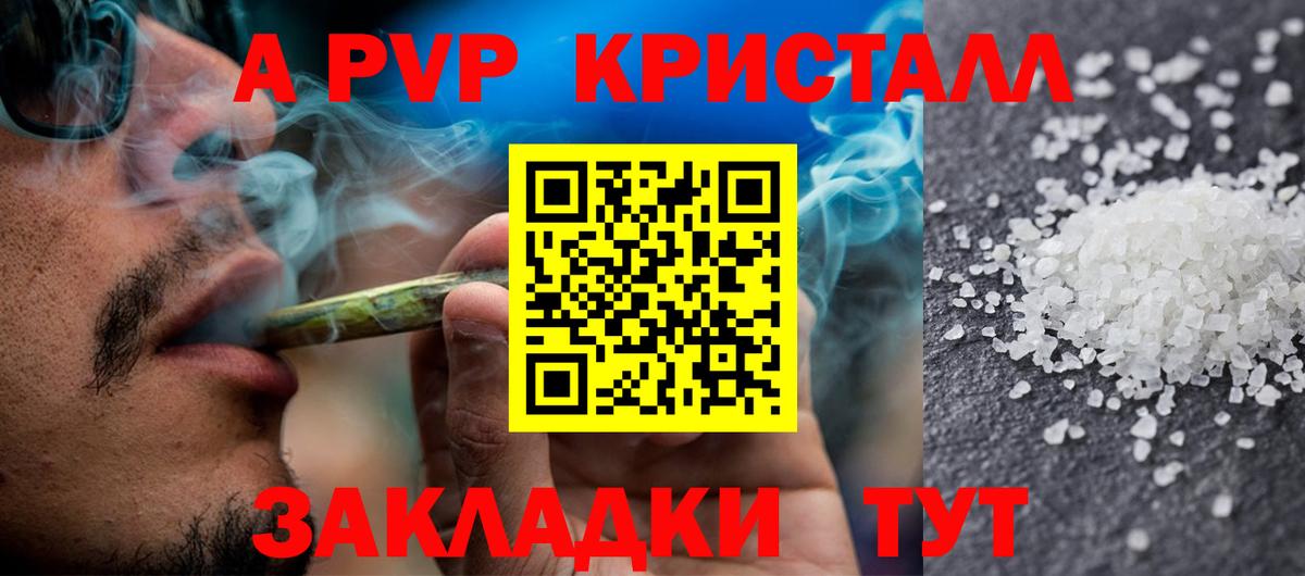 Alfa_PVP СК Новочеркасск