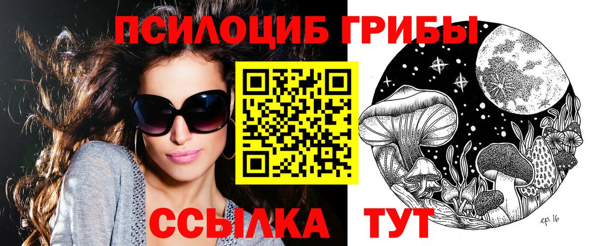 Псилоцибиновые грибы Psilocybe  Вход с VPN  Галлюциногенные грибы мицелий  Новочеркасск 